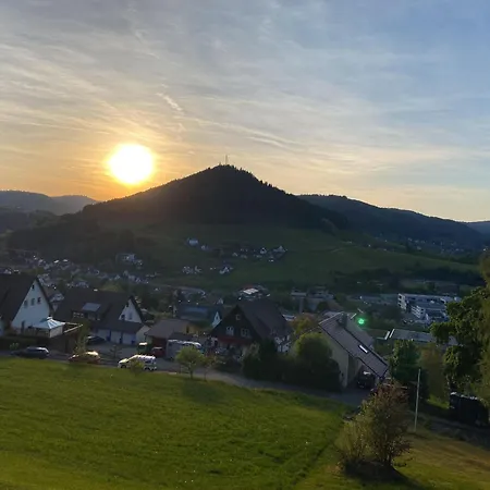 Rinkenblick