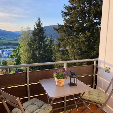 Rinkenblick Appartement Baiersbronn