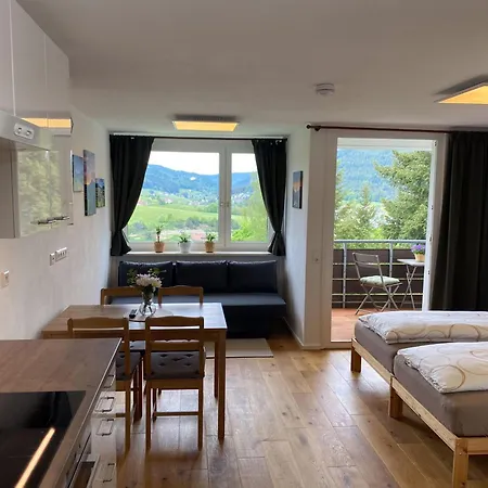 Rinkenblick Appartement Baiersbronn