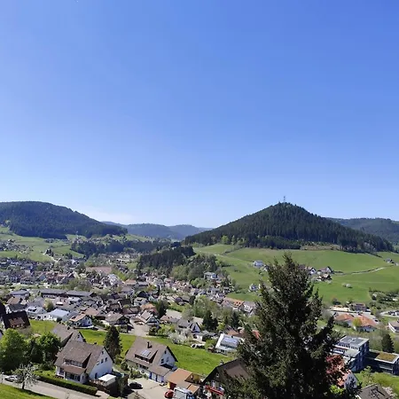Appartement Rinkenblick
