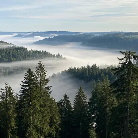 Rinkenblick Baiersbronn